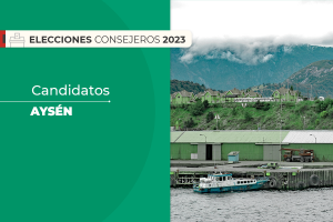 Aysén: Quiénes son los candidatos al Consejo Constitucional en la región