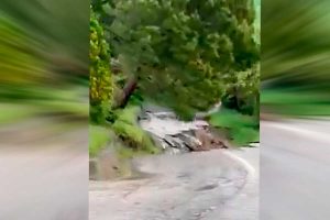 VIDEO| Impresionante deslizamiento de tierra en Italia: Lluvias provocan estragos y fallecidos