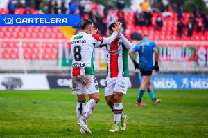 Cartelera de Fútbol por TV: Palestino se juega la vida en Copa Sudamericana este martes