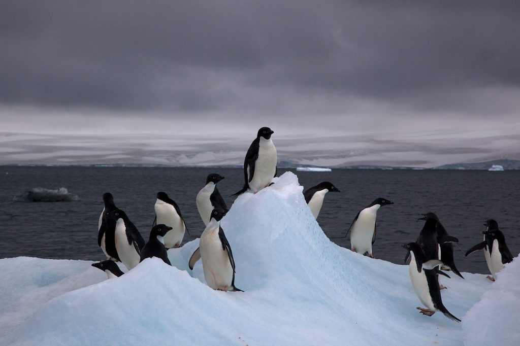 Glaciares aparentemente estables de la Antártida podrían cambiar súbitamente y comenzar a derretirse