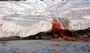 Finalmente descubren el origen de las “cataratas de sangre” de la Antártica
