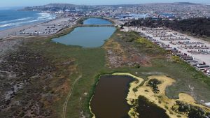 Triunfo ciudadano: Puerto de San Antonio cede y acepta proteger las Lagunas de Llolleo