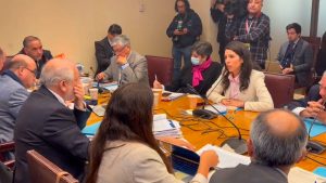 VIDEO| Tensión en el Congreso: Senadora Gatica (RN) trata a ministro Montes de “títere de Boric”
