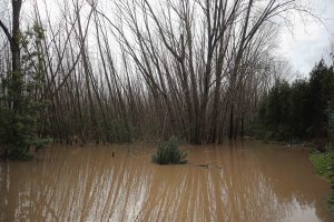 Lluvias en Chile: Alerta Roja en Región del Ñuble por inundaciones y remociones en masa