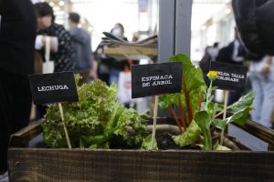 Expo Chile Agrícola: Talleres, cocina en vivo y mercado campesino en Lo Valledor y en línea
