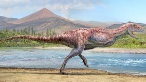 Identifican a dinosaurio carnívoro que vivió hace más de 92 millones de años en Coquimbo