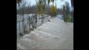 VIDEO| Ñuble: Registro evidencia impresionante desborde de río Perquilauquén
