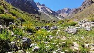 "Falta la mitad": Orrego critica los límites del nuevo Parque Nacional en Cajón del Maipo