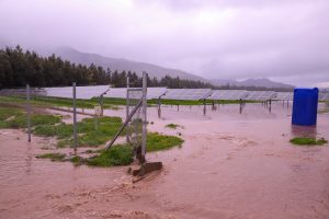 Bonos de hasta $5 millones para afectados por inundaciones: Revisa beneficios del gobierno