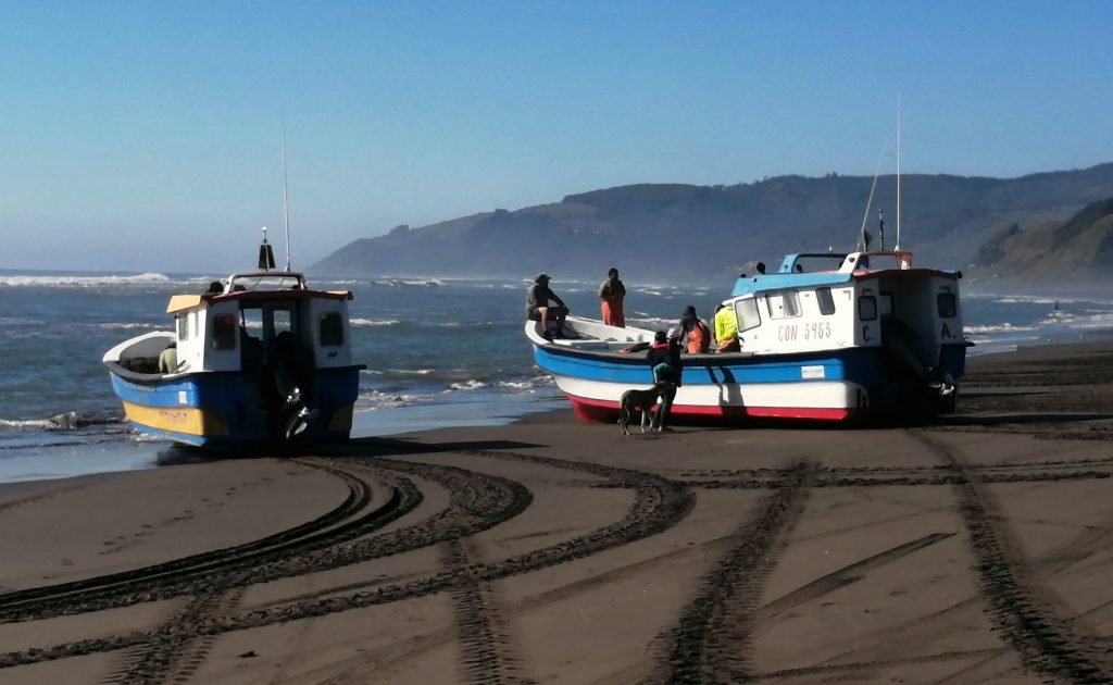 Pescadores llaman a respetar la veda de la merluza y denunciar su venta ilegal