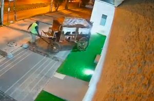 VIDEO| Delincuentes roban con pasmosa facilidad una carroza de 100 años en Maipú
