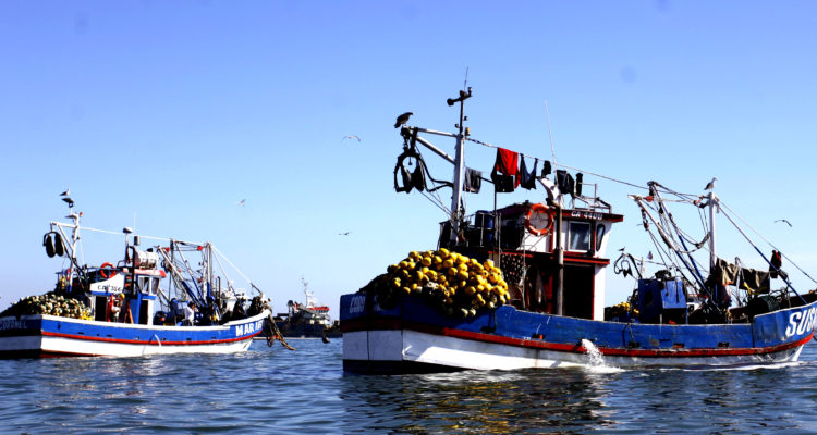 Pescadores Artesanales del Biobío denuncian que «Ley de Pesca produce precariedad en el sector»