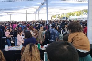 Talleres, Ludoteca y 171 editoriales: Feria Primavera del Libro llega al Parque Inés de Suárez