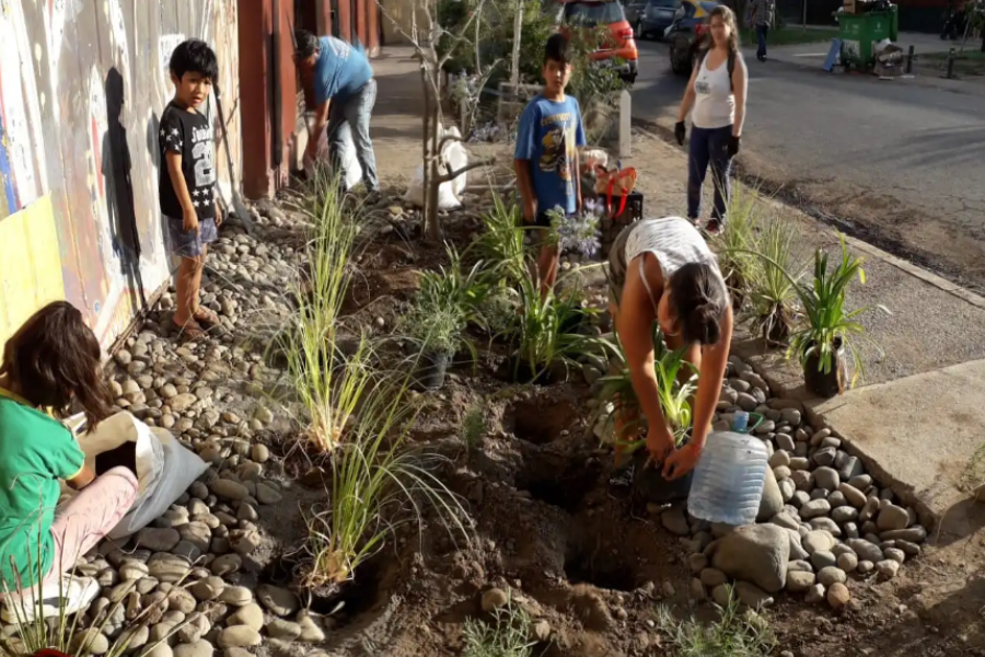 Nueva solución para evitar inundaciones: jardines que capten la lluvia y drenen en acuíferos