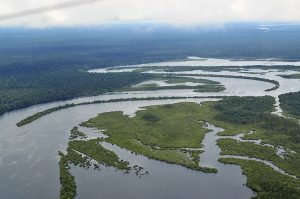 Tragedia en Brasil: 14 víctimas fatales tras caída de avioneta en Amazonía