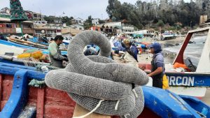 Emprendimiento chileno la hizo: Limpiará la bahía de Quintero con pelo humano