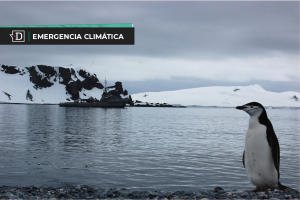 Antártica: Continente blanco cerró el invierno con menor cantidad de hielo jamás registrada
