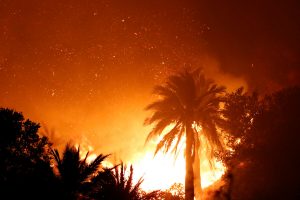 PDI detiene a presunto autor del mega incendio de Viña del Mar en Navidad del 2022