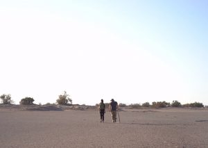 Árboles del desierto: Cruzada por preservar las pocas especies que sobreviven el clima árido