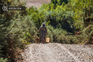 Mujeres Rurales en Chile: Las trabajadoras y sus condiciones, lejos de ser conmemoradas