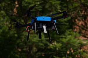 Restringen el uso de drones dentro de áreas protegidas por su impacto en fauna silvestre
