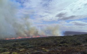 Investigan ejercicio militar que habría causado incendio de mil hectáreas en Tierra del Fuego