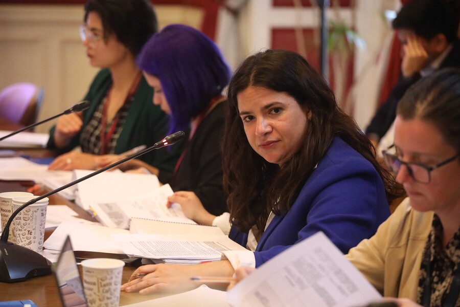 Ministra de la Mujer espera «buenas noticias” en Ley libre de violencia: 6 años de espera