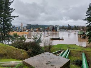 Licancel: La planta de Arauco con 600 trabajadores que cerró por extrema variabilidad climática