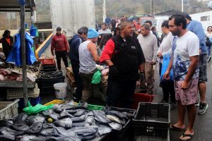 Comisión de Pesca propone ajustes para mejorar ley: Seguridad social y compensaciones