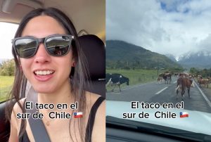VIDEO| Tiktoker muestra cómo es un taco en el sur de Chile: “Toda la magia del sur”