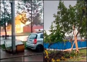 VIDEO| El impactante registro de un rayo partiendo en dos un árbol en Puente Alto