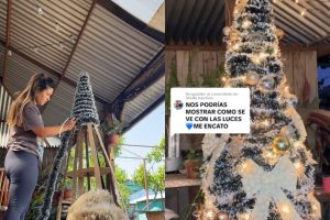VIDEO| Chilena recibe elogios en TikTok por árbol navideño hecho de cartón