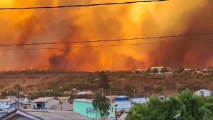 Incendios forestales: Reportan siete heridos y al menos 800 hectáreas calcinadas
