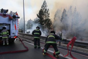 Anuncian que 3.000 km de carreteras ya están despejadas ante temporada de incendios