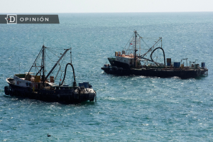 Una nueva Ley de Pesca para retomar la senda hacia la justicia y probidad