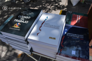 A la sombra de la libertad: Desafíos estructurales en la sociedad chilena
