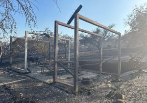 Valparaíso: Sobre 600 hectáreas quemadas por peligrosos y devastadores incendios forestales