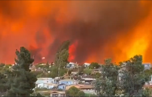 VIDEO| Incendio forestal tiene a Limache devastado por el fuego: "Por Dios qué terrible"