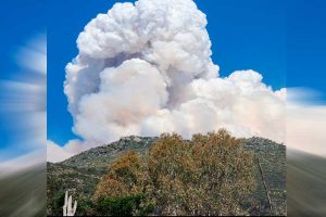 Incendio en Colliguay: Más de 2.000 hectáreas quemadas y peligro de reactivación