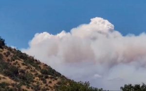 VIDEO| Alerta Amarilla en Quilpué por voraz incendio forestal: Humo se ve desde todo Santiago