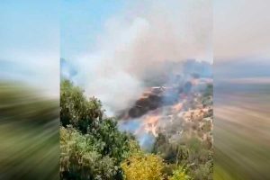 VIDEO| Declaran Alerta Roja en comuna de Las Cabras por agresivo incendio forestal