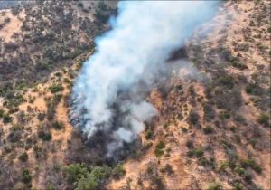 VIDEO| Incendio forestal cerca de San Carlos de Apoquindo pone en alerta a Bomberos