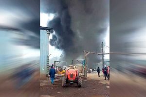 VIDEO| Incendio de gran magnitud afecta a empresa de packing en la Región de O’Higgins