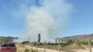 Alerta Roja en comuna de Las Cabras por incendio forestal cerca de zonas pobladas