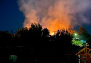 Incendio forestal en Villa Alemana amenazó viviendas: Denuncian a sujeto con fuegos artificiales