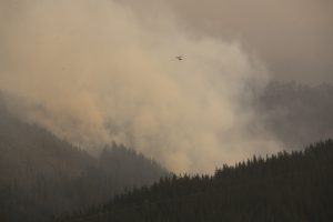 Incendio forestal en Coronel, febrero 2023