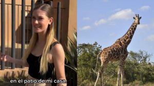 VIDEO| Influencer mexicana presumió tener una jirafa como mascota y generó repudio en redes