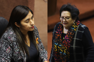 María Luisa Cordero pidió disculpas a Fabiola Campillai: Senadora dice "no creer en ellas"