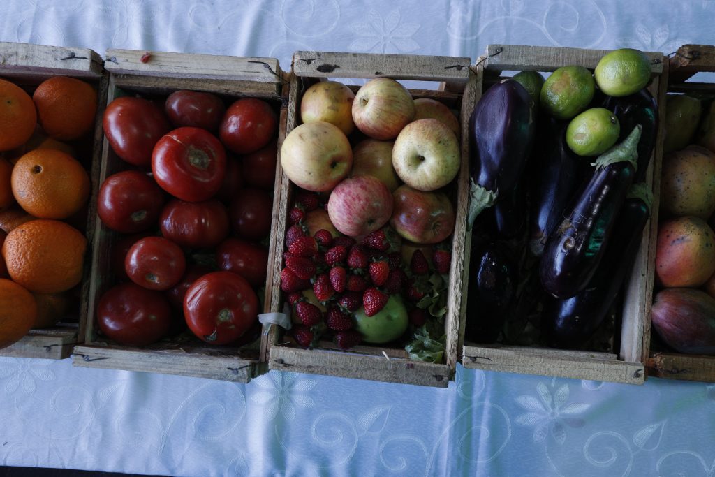 Junaeb rompe récord de compra de fruta y verdura fresca a campesinos para alimentación escolar