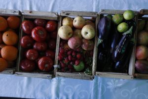 Junaeb rompe récord de compra de fruta y verdura fresca a campesinos para alimentación escolar